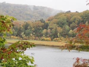 大沼と紅葉